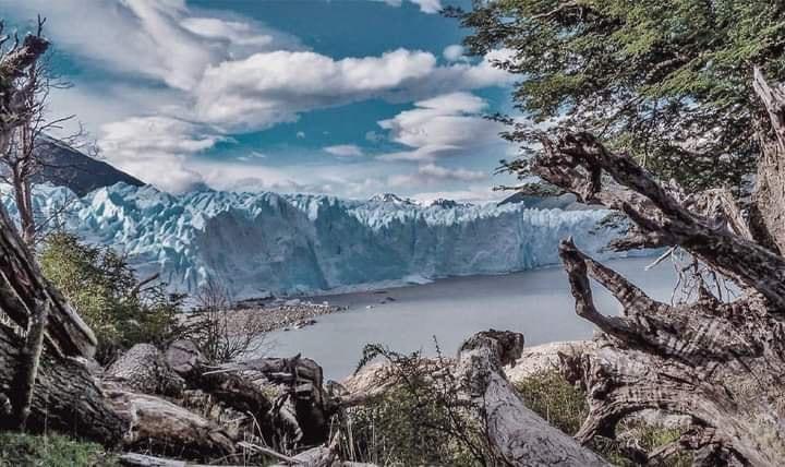 Glaciar Perito Moreno - Imagen 2
